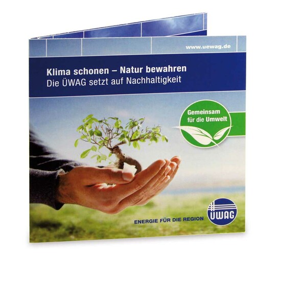 Green-Card mit Samen - Sommerblumenmischung, 4/4-c