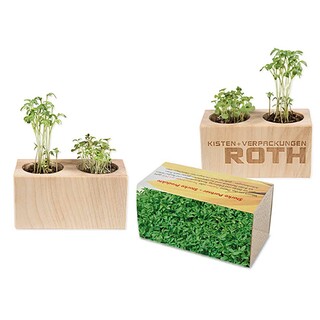 Pflanz-Holz 2er Set mit Samen - Gartenkresse