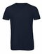 BCTM057 V-Neck Triblend T-Shirt /Men