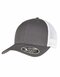 110 Mesh 2-Tone Cap