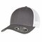 110 Mesh 2-Tone Cap